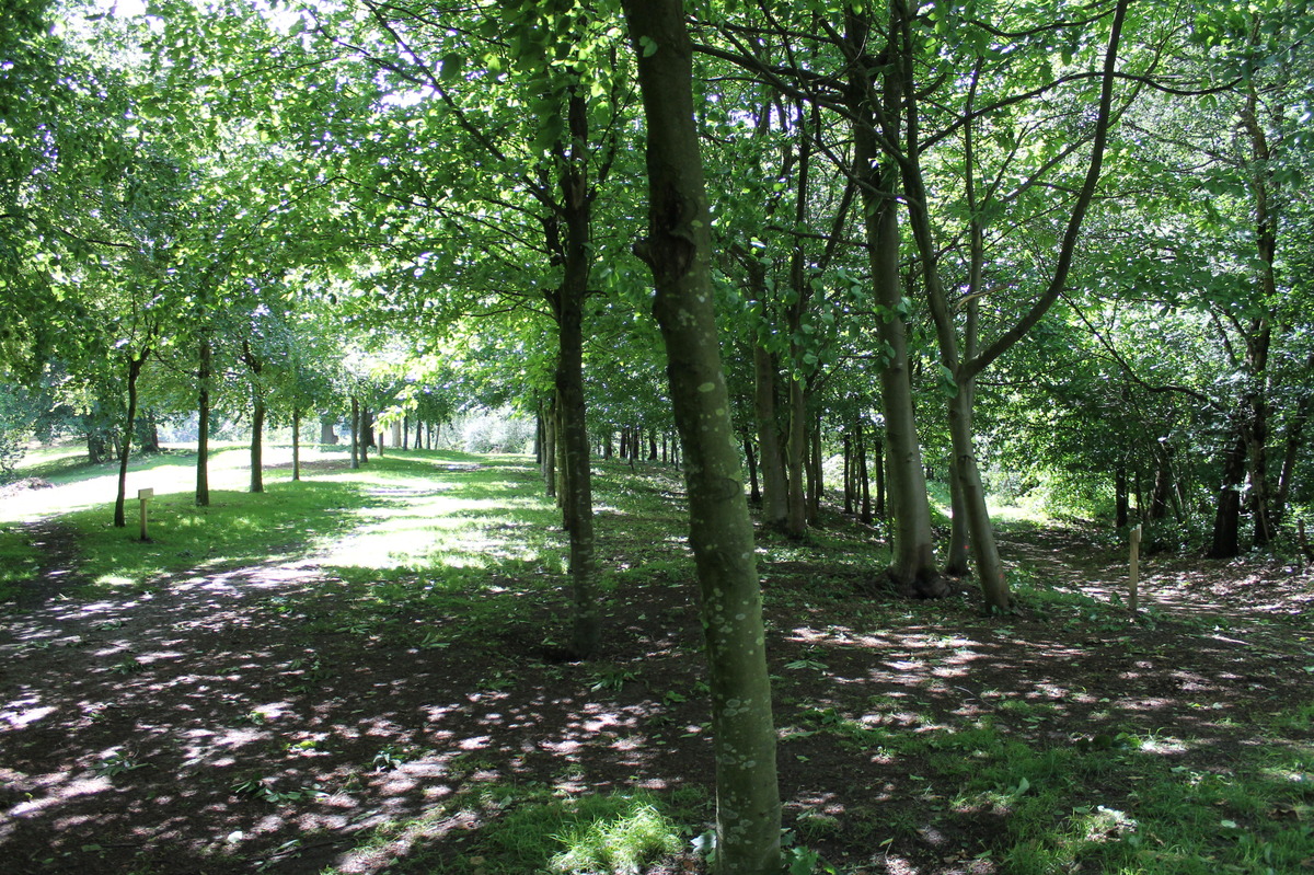 June- result of mowing, scything and brush cutting this year